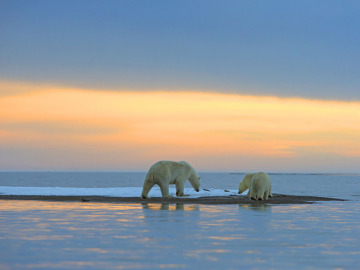 Junto al agua