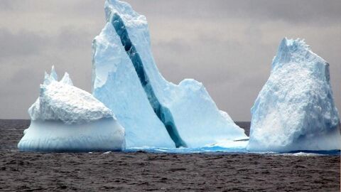 Icebergs en la Antártida Icebergs en la Antártida