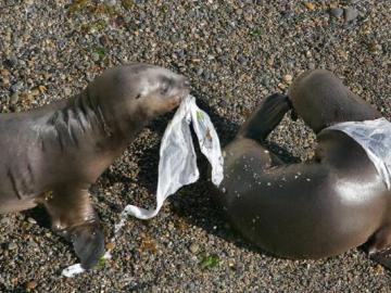 El Día Internacional sin bolsas de plástico