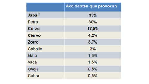 El porcentaje de accidentes que provocan los animales El porcentaje de accidentes que provocan los animales