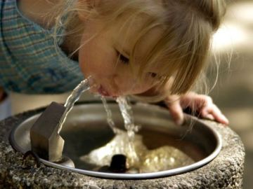 Agua, el alimento de la vida 