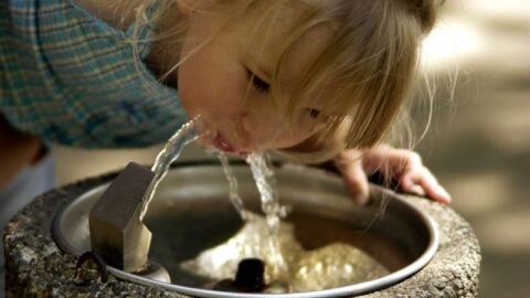 Agua, el alimento de la vida Agua, el alimento de la vida
