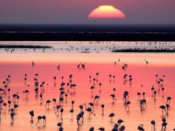 Atardecer en Doñana