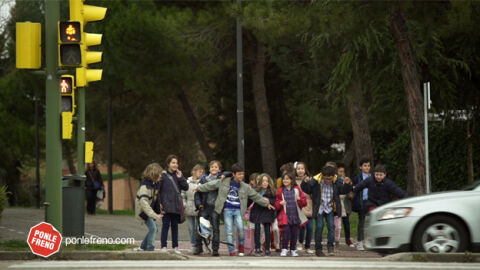 Educación vial obligatoria 