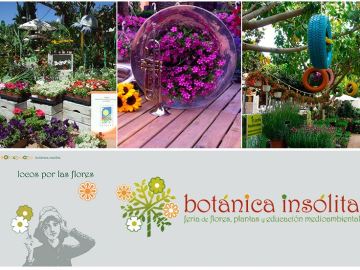 'Botánica Insólita': el verde invade Madrid