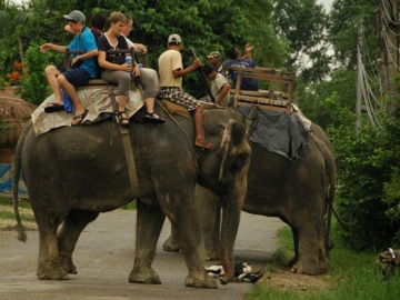 Turismo con animales en Tailandia