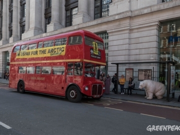 La osa Paula viaja a Londres para pedir la protección del Ártico