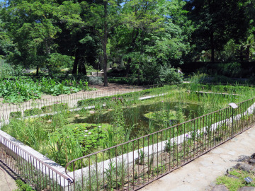 Nuevo estanque del Real Jardín Botánico