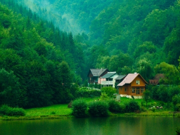 Casa en pleno bosque