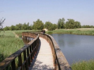 Reserva de la Biosfera de la Mancha Húmeda