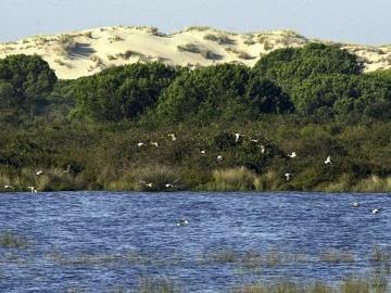 Doñana