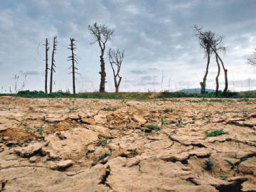 La mitad del planeta podría ser una zona árida en 2100