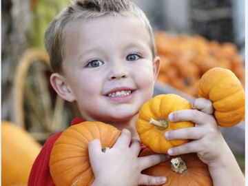 ¿Conoces los beneficios que tiene la calabaza?