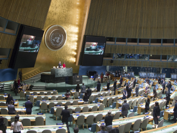 Asamblea General de la ONU