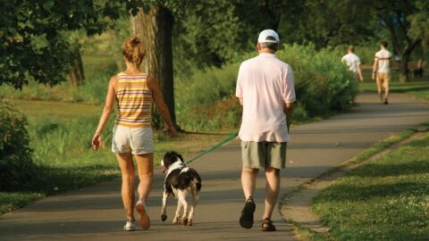 Caminar m&aacute;s de una hora al d&iacute;a reduce a la mitad el riego de padecer dolencias arteriales 