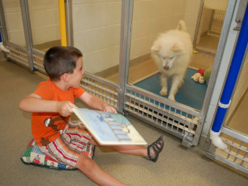 Unos niños leen cuentos a perros sin hogar para que se acostumbren a la vida en familia 