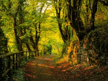 Relacionan el cambio climático con el deterioro de bosques