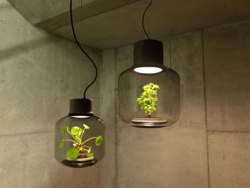 Mygdal Plantlamp, una lámpara para cultivar plantas sin luz natural 