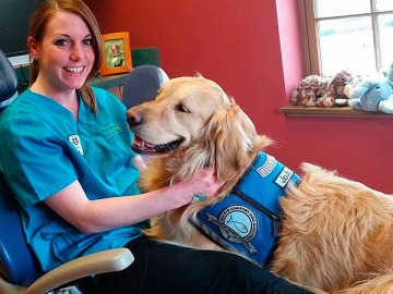 Jojo, el perro que ayuda a calmar a los niños en la consulta del dentista 