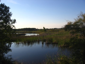 Parque Nacional de Doñana