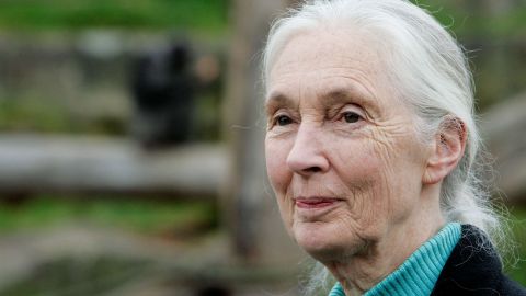 Jane Goodall Jane Goodall
