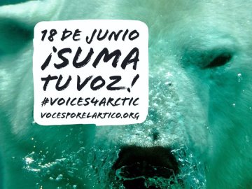 ¡Suma tu voz para proteger el Ártico con Greenpeace!