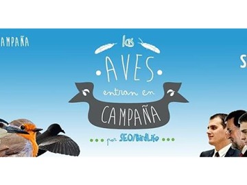 Las aves 'entran en campaña electoral' con peticiones a los principales candidatos políticos