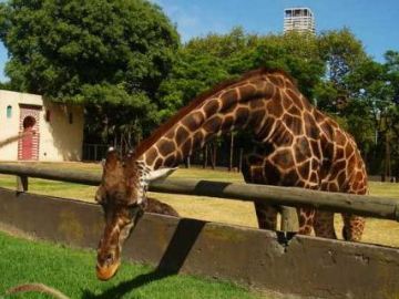 Zoo de Buenos Aires 