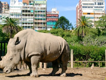 El Zoo de Buenos Aires comienza su transformación para convertirse en un parque ecológico 