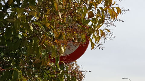 Imagen PonleFreno 20160322_104814