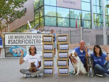 La Comunidad de Madrid aprueba la ley de protección animal #SacrificioZero