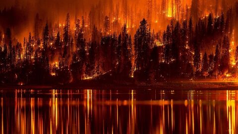Los incendios forestales queman en España un 20 % menos de superficie que hace un año