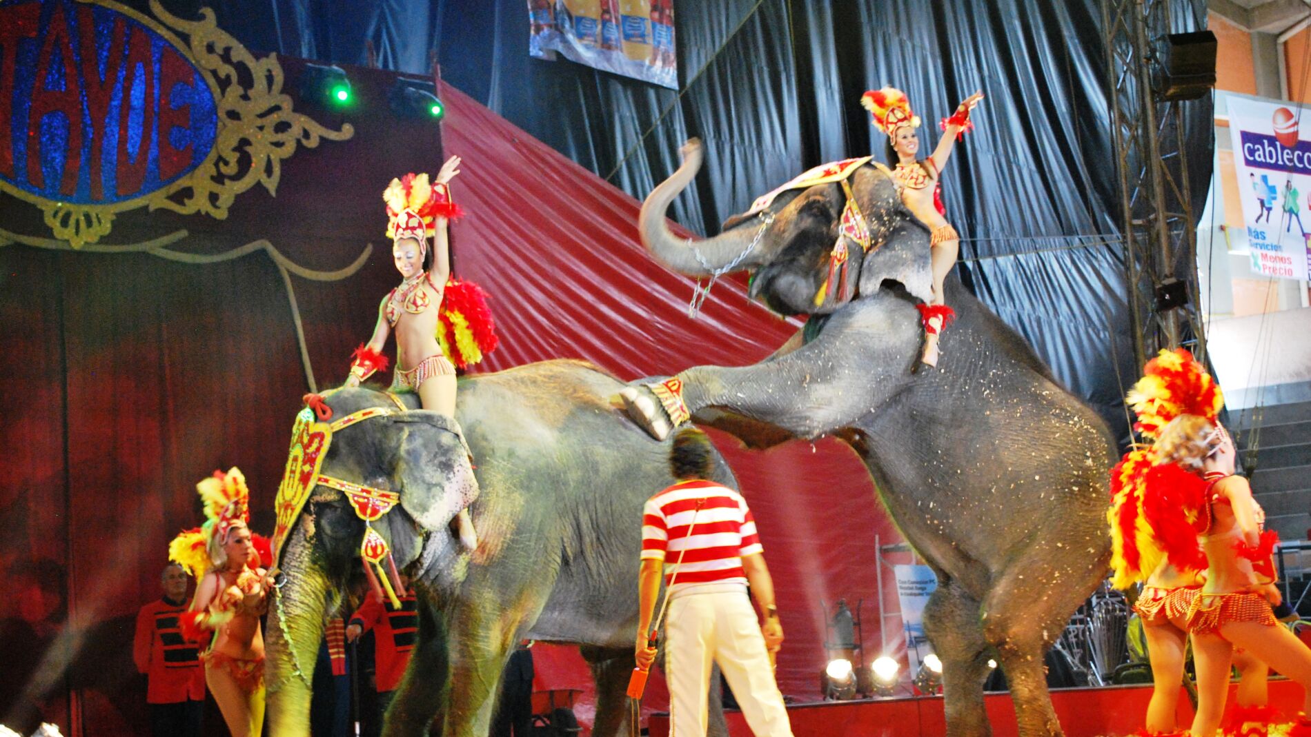 Circo con animales