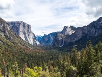 Los bosques son los mayores repositorios de biodiversidad terrestre 