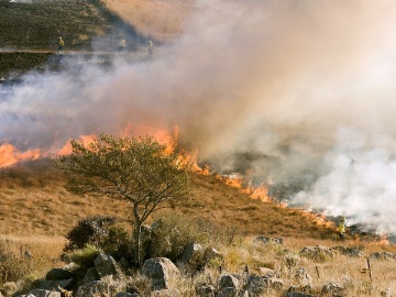 África es el continente más afectado por los incendios