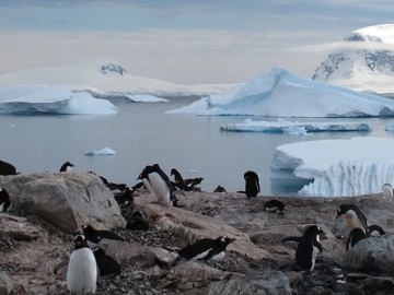 La Antártida acogerá la mayor área marína protegida del mundo