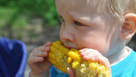 Alimentos que ayudan a controlar el colesterol en los ni&ntilde;os