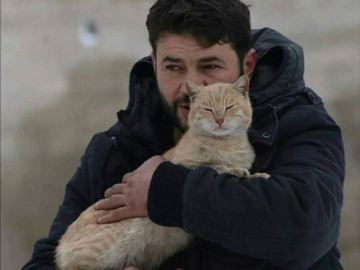 Un hombre se niega a marcharse de Alepo para cuidar de más de un centenar de gatos callejeros 