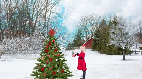Siete manualidades para hacer con los peques y decorar vuestra casa estas navidades