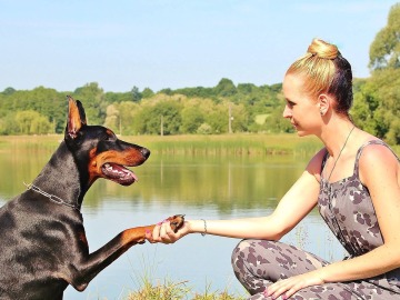 Los perros pueden constituir una buena terapia para las personas con enfermedades mentales