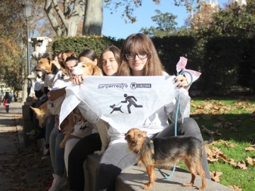 Los perros toman las calles de Madrid en la #SanPerrestre 2016