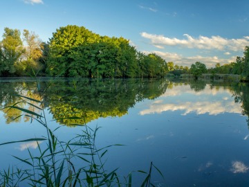 El calentamiento de los estanques podría acelerar el cambio climático