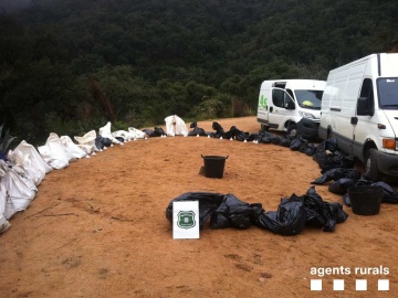 Hallan 87 cadáveres de perros y gatos hacinados en bolsas de basura en Girona