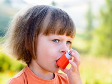 Un tipo de levadura presente en el intestino puede predecir el asma infantil