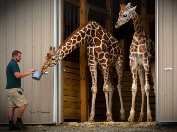 April junto a Oliver, su pareja en el zoo