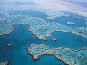 Gran Barrera de Coral