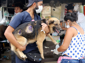 Un refugio cuida a los animales que sobrevivieron a la avlancha de la ciudad colmbiana de Mocoa 