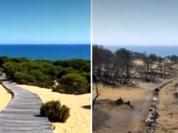  El antes y el después de Doñana tras el incendio de Huelva: de paisaje paradisíaco a zona arrasada por el fuego 