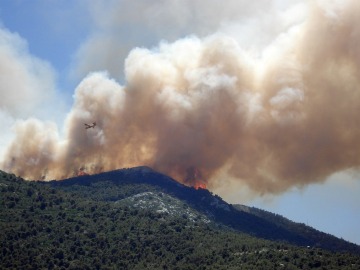 7.791 INCENDIOS FORESTALES EN 2017