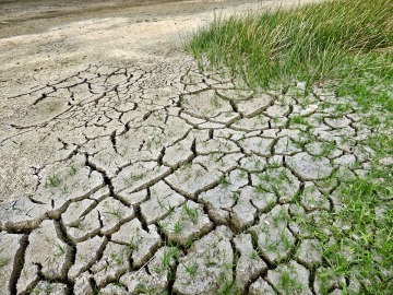 El cambio climático matará en 2100 a unas 260.000 personas